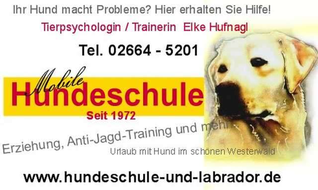 Mobile Hundeschule, auch Anti-Jagd-Training, rlp,ww,nrw,hessen